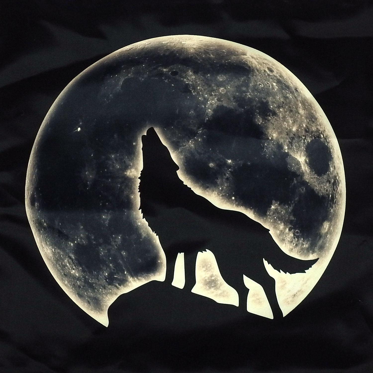 Wolf Cushion REF 14 - Image 4