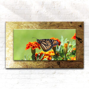 Pressboard Canvas Print | Panoramic Landscape