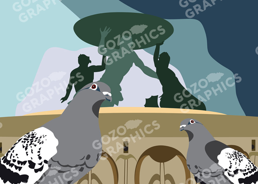 Valletta Pigeon | Canvas Print 70x50cm - Image 2