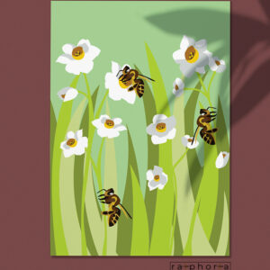 Maltese bee on narcissa flowers - 60x45cm canvas