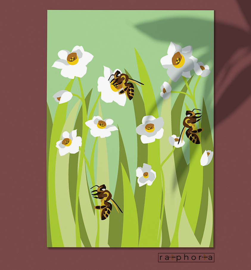 Maltese bee on narcissa flowers - 60x45cm canvas