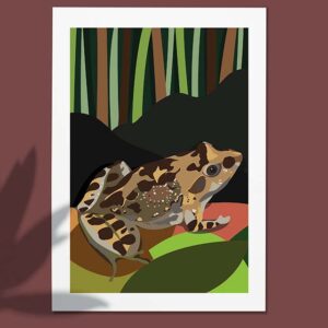 Painted Frog - 60x45cm canvas