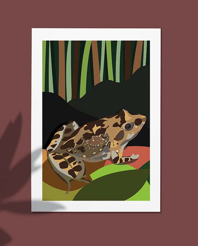 Painted Frog - 60x45cm canvas