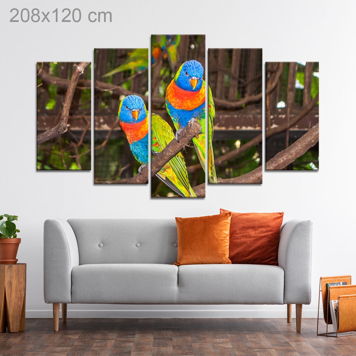 Multi-Colored Lori Parrots