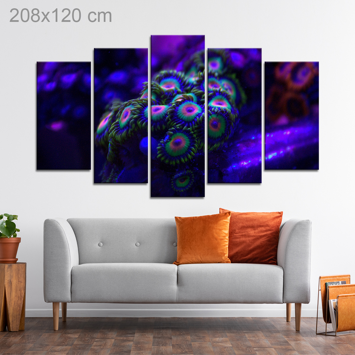 Rasta Zoanthids Coral