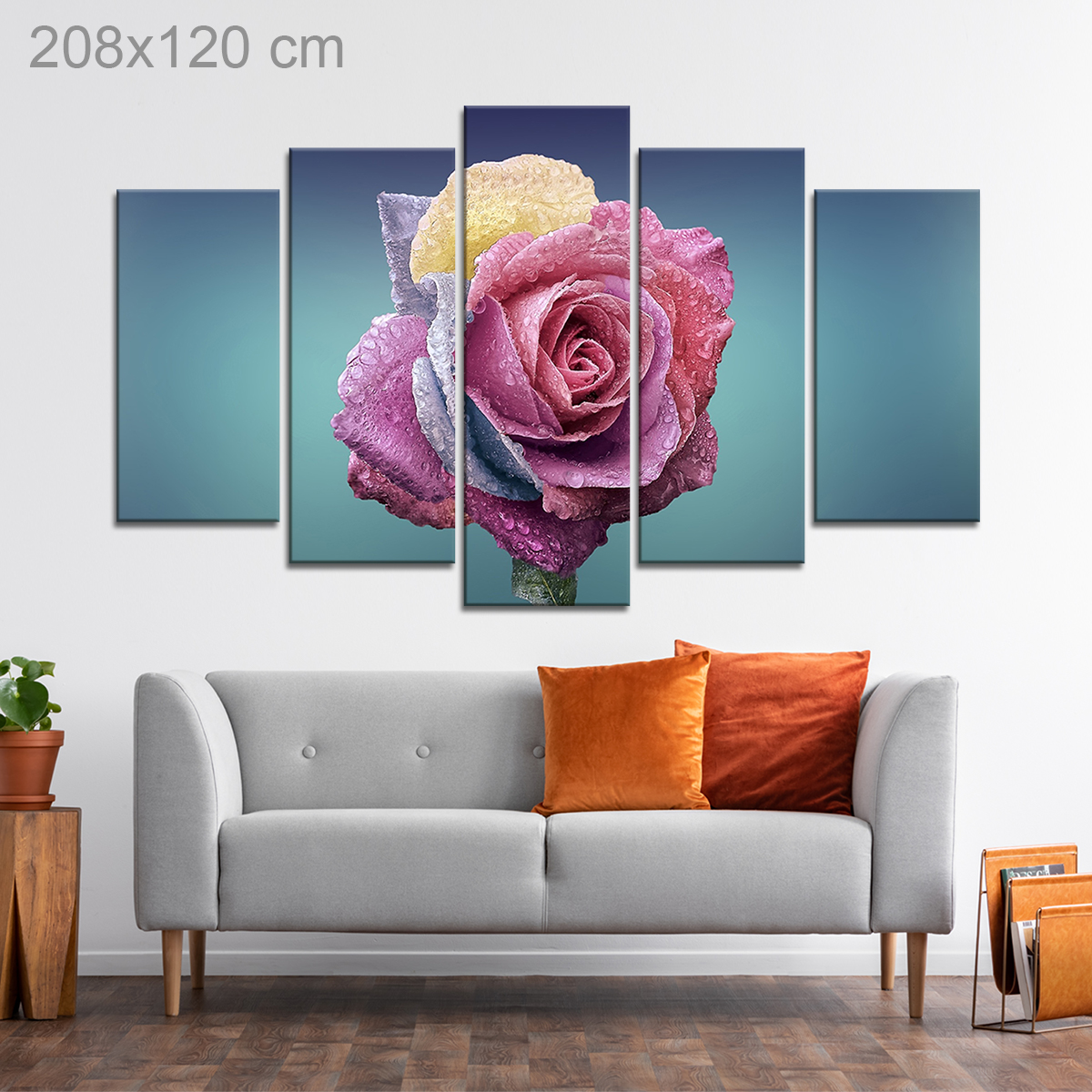 Dewdrops on a Colorful Rose