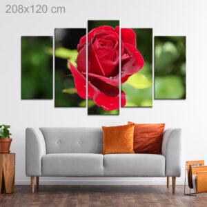 Dewdrops on a Roses Petals