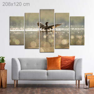 Duck Splashing in a Pond