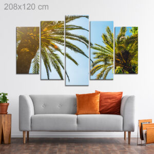 Palm Trees