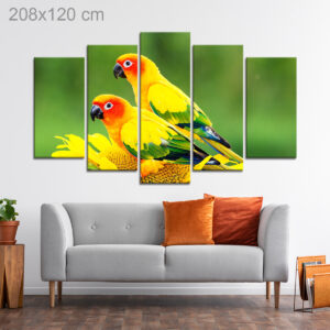 Beautiful Parrots