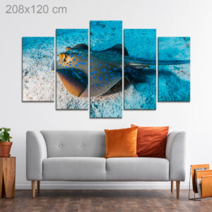 Blue Spotted Stingray swimming on the Seabed of the Red Sea