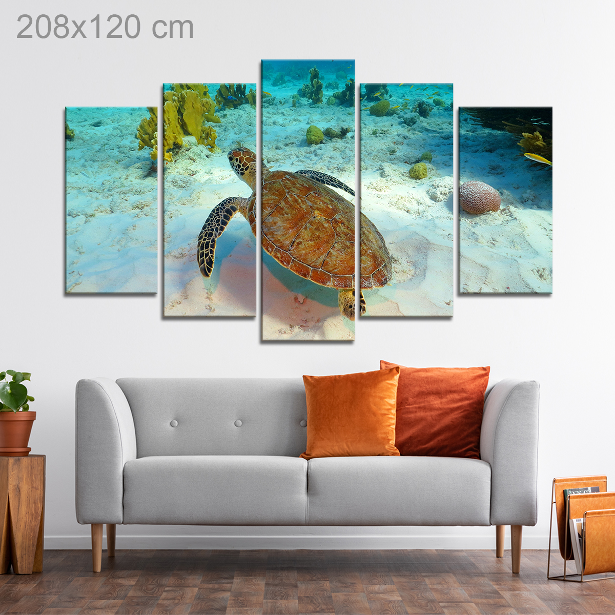 Sea Turtle swimming through Tropical Reef