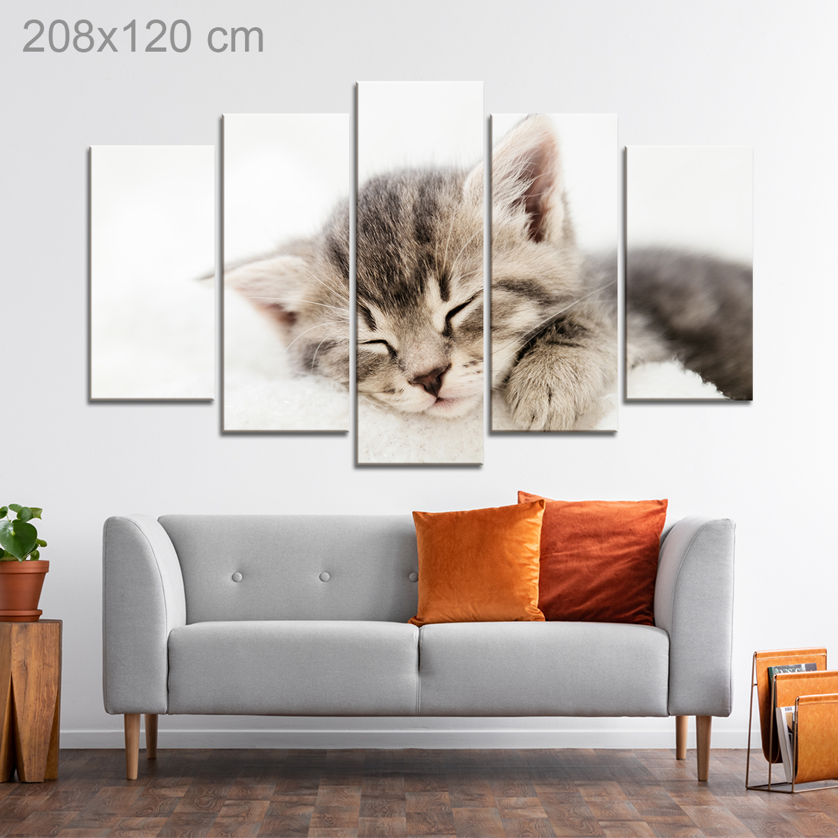 Adorable Sleepy Kitten