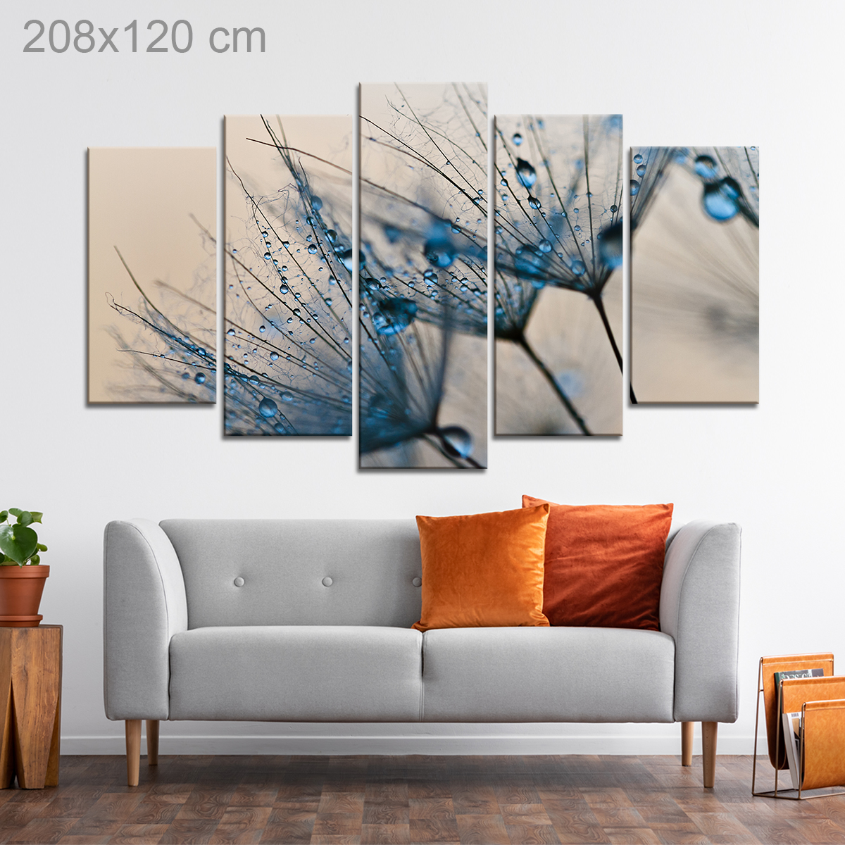 Dewdrops on Dandelion Seeds