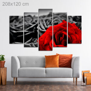 Red Rose on a Black Background