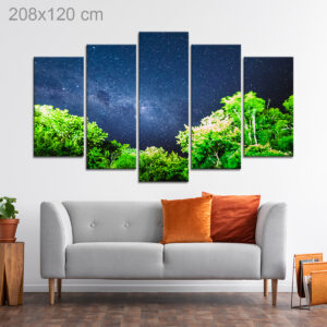 Milky Way above Trees