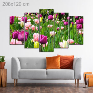 Tulip Garden in the Spring