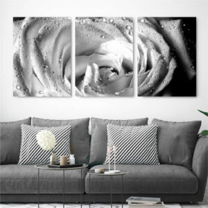 Black and White Rose wall art - 3 print set