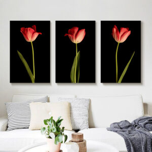 Tulips on a Black Background wall art - 3 print set