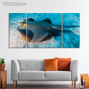 Blue Spotted Stingray