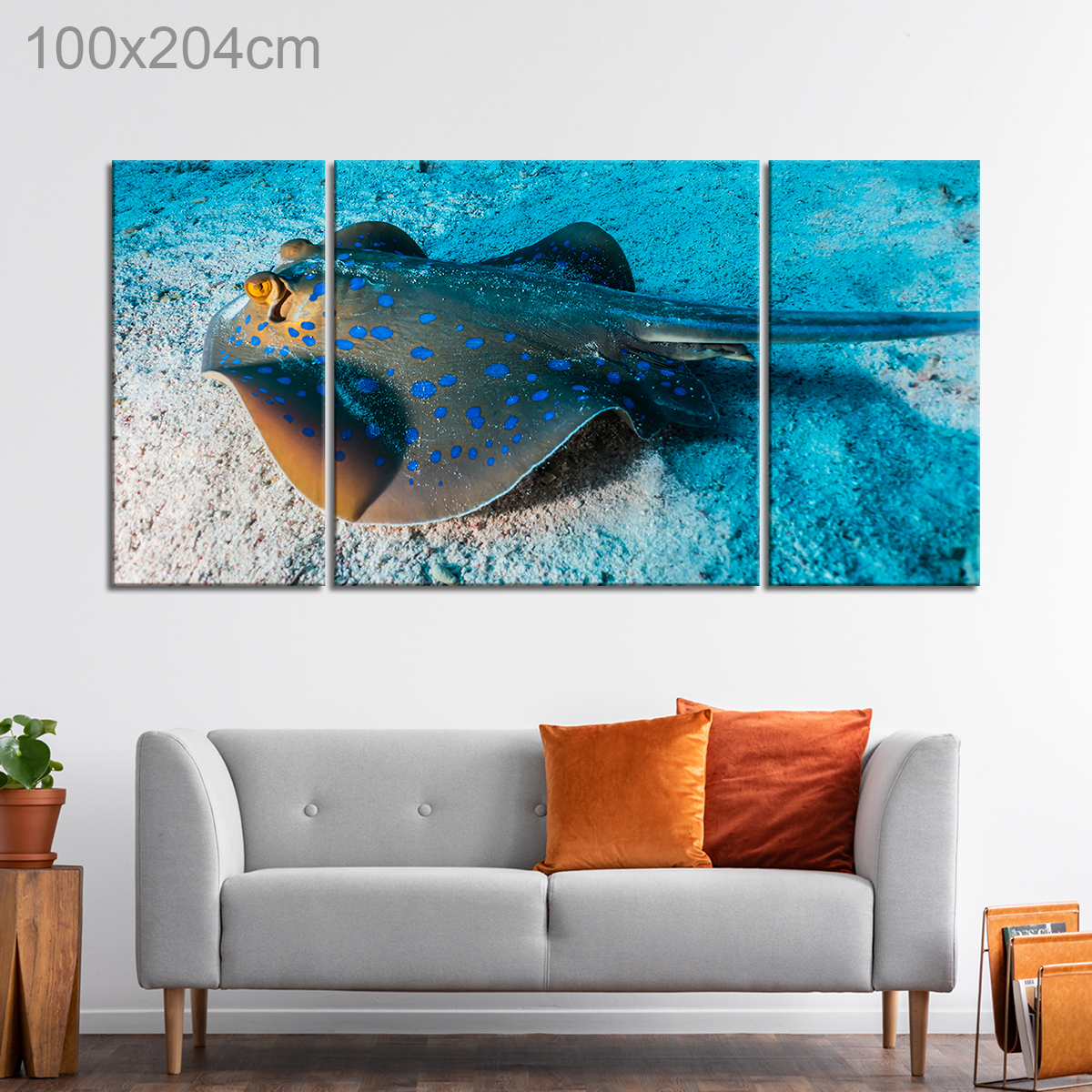 Blue Spotted Stingray