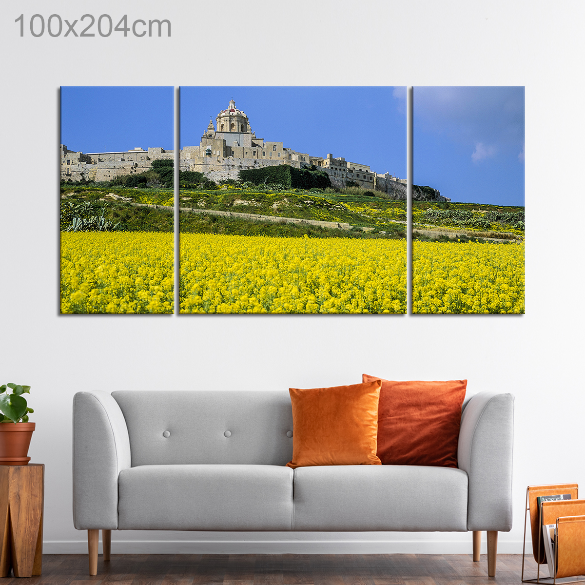 Flower Field beside Mdina, Malta