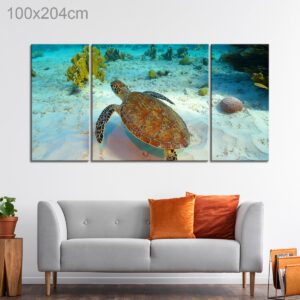 Sea Turtle Swimming in a Reef