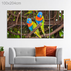 Multi-Colored Lori Parrots