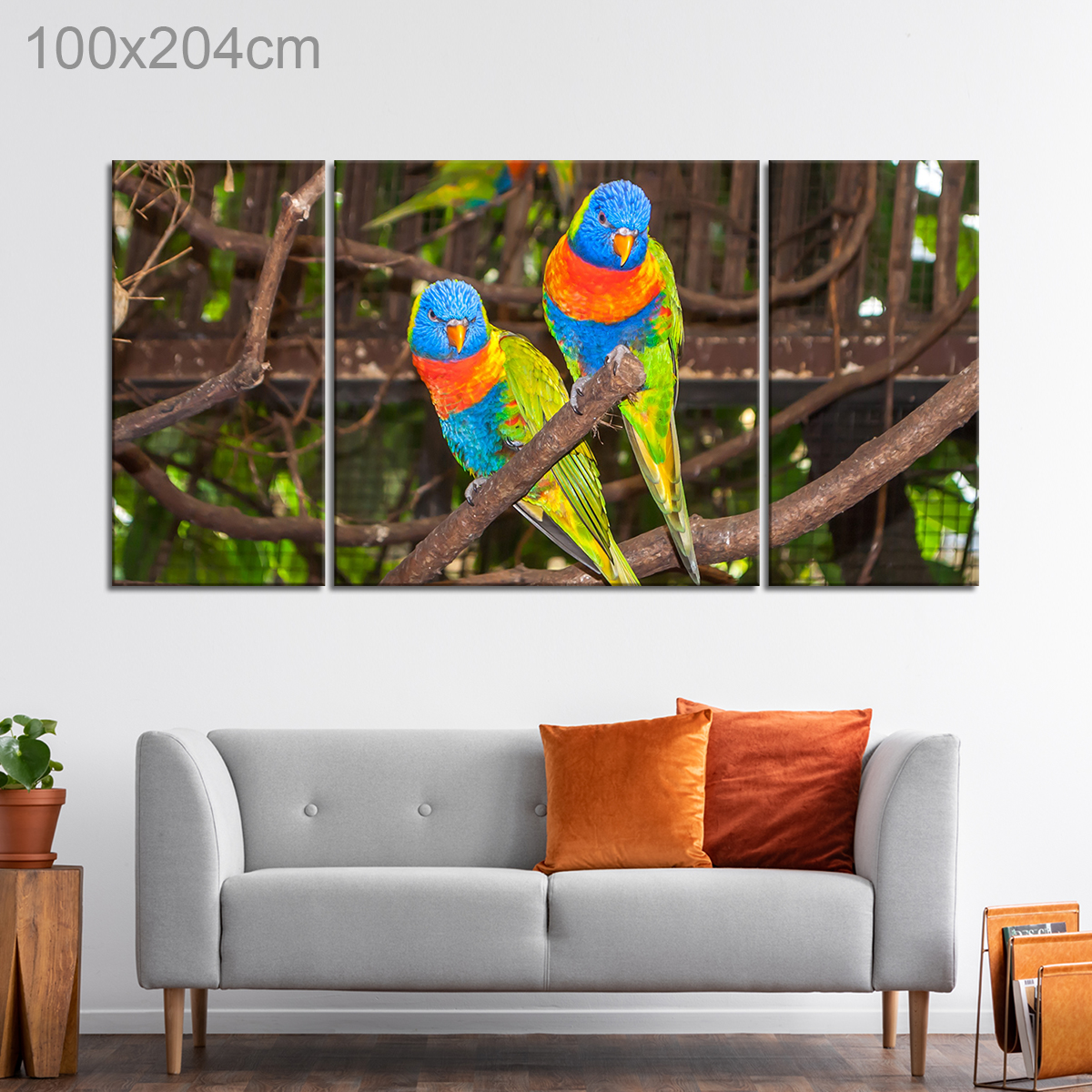 Multi-Colored Lori Parrots