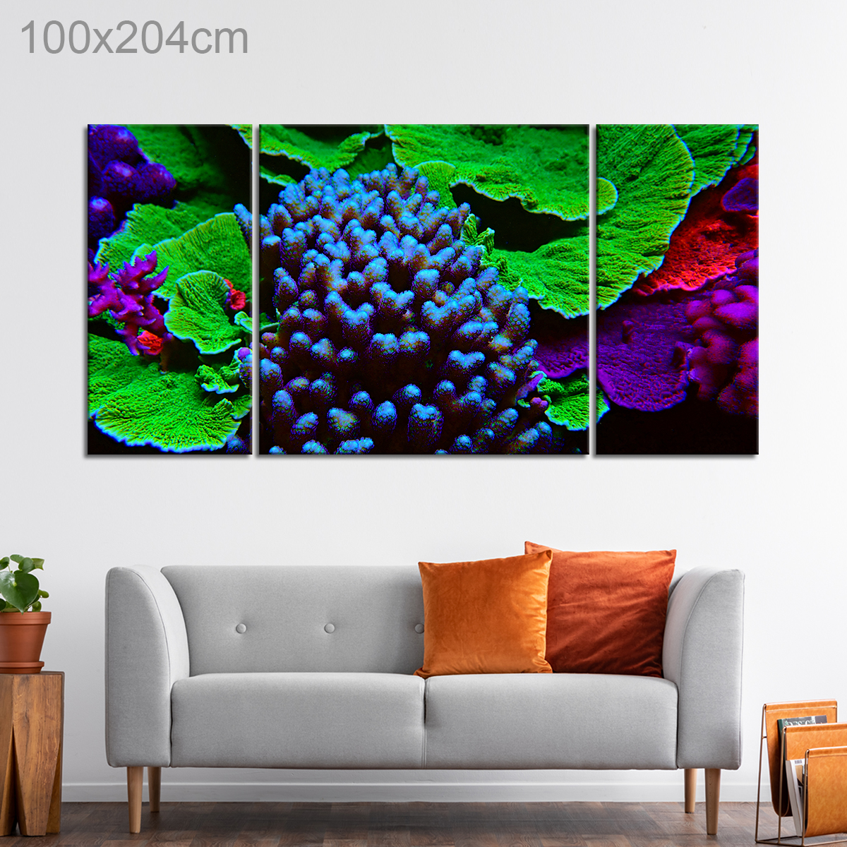 Short Polyp Stone Coral