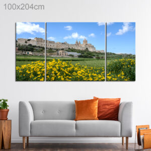 Mdina on a Sunny Day, Malta