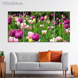 Tulip and Carnation Field