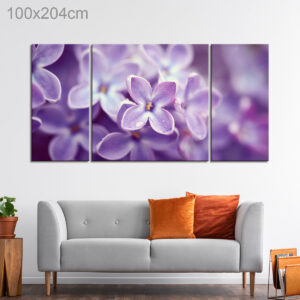 Close Up of Lilac Flowers