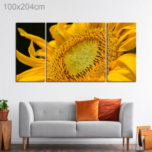 Close Up of Yellow Flower