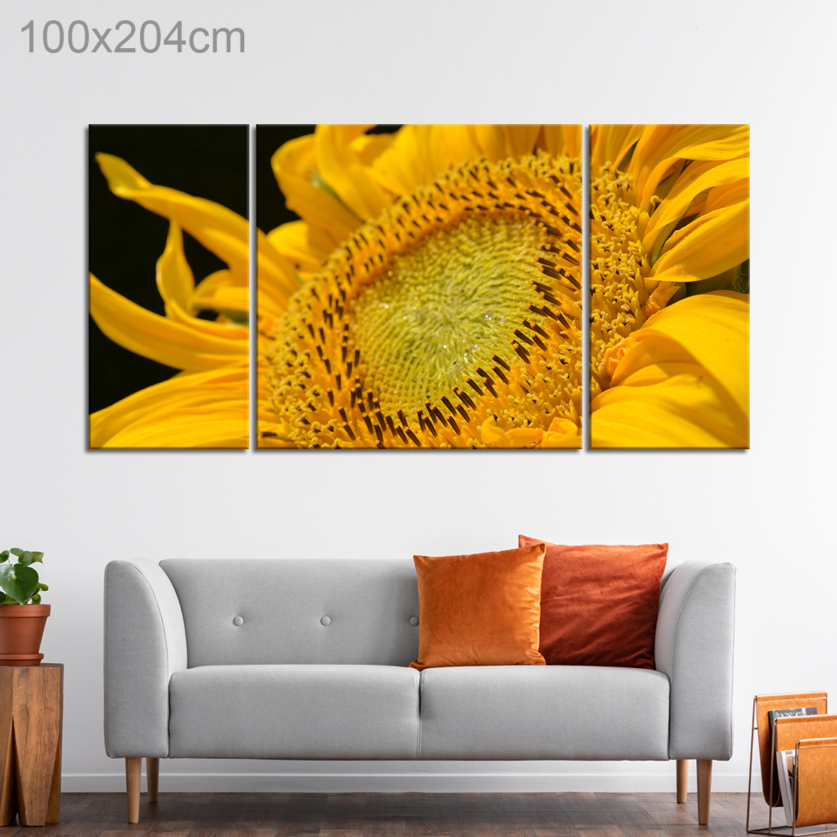 Close Up of Yellow Flower