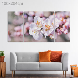 Sakura Cherry Blossoms