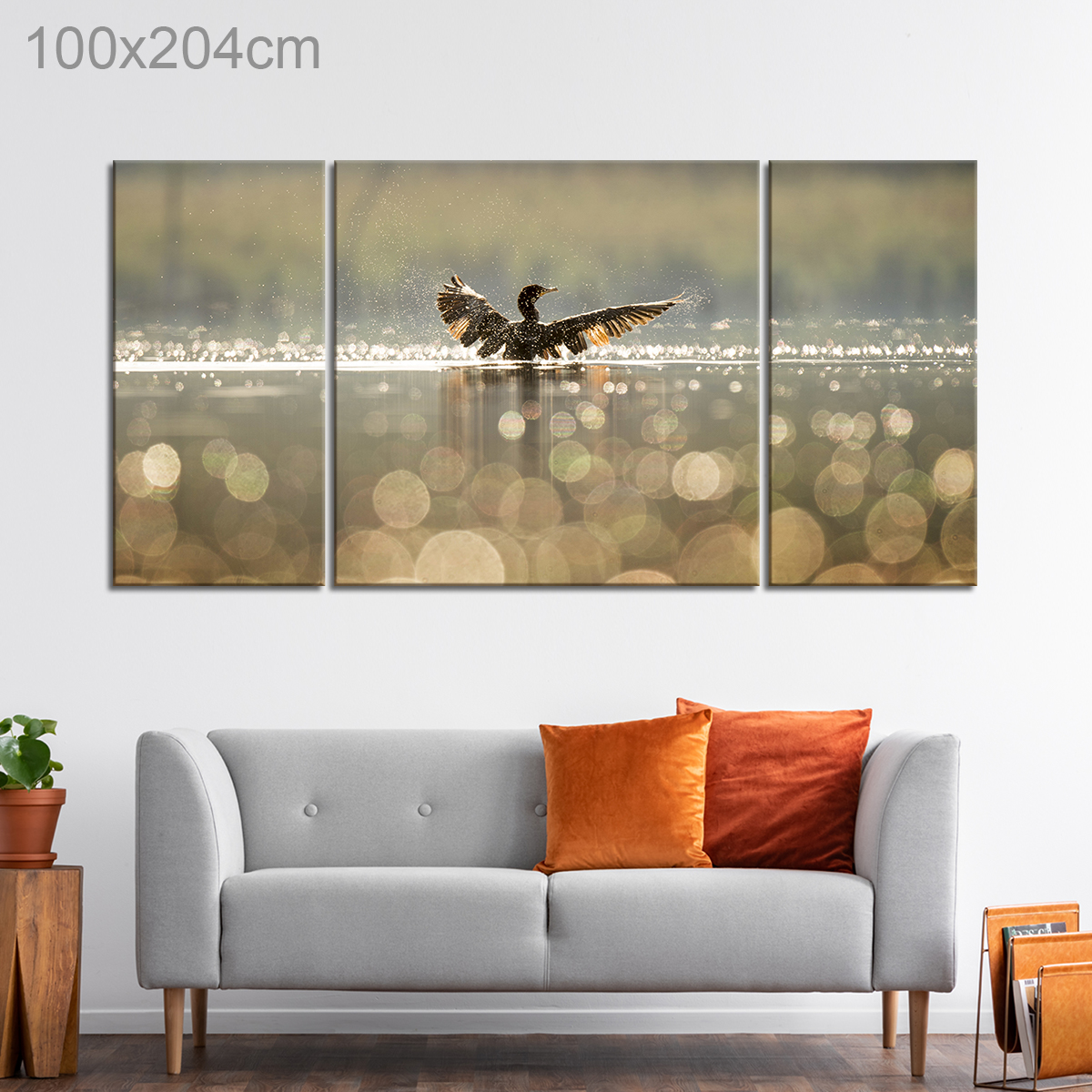 Duck Swimming in a Lake