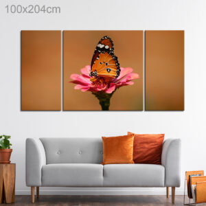 Monarch Butterfly on a Pink Flower