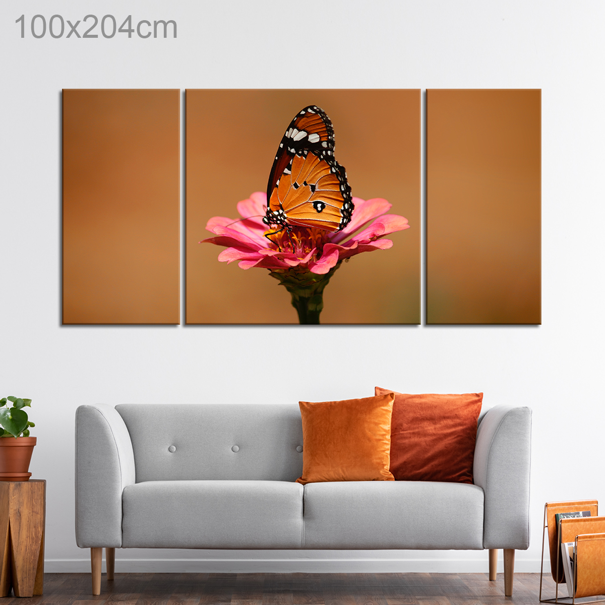 Monarch Butterfly on a Pink Flower