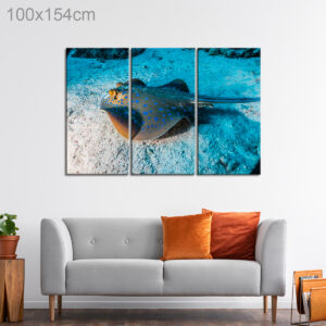 Blue Spotted Stingray