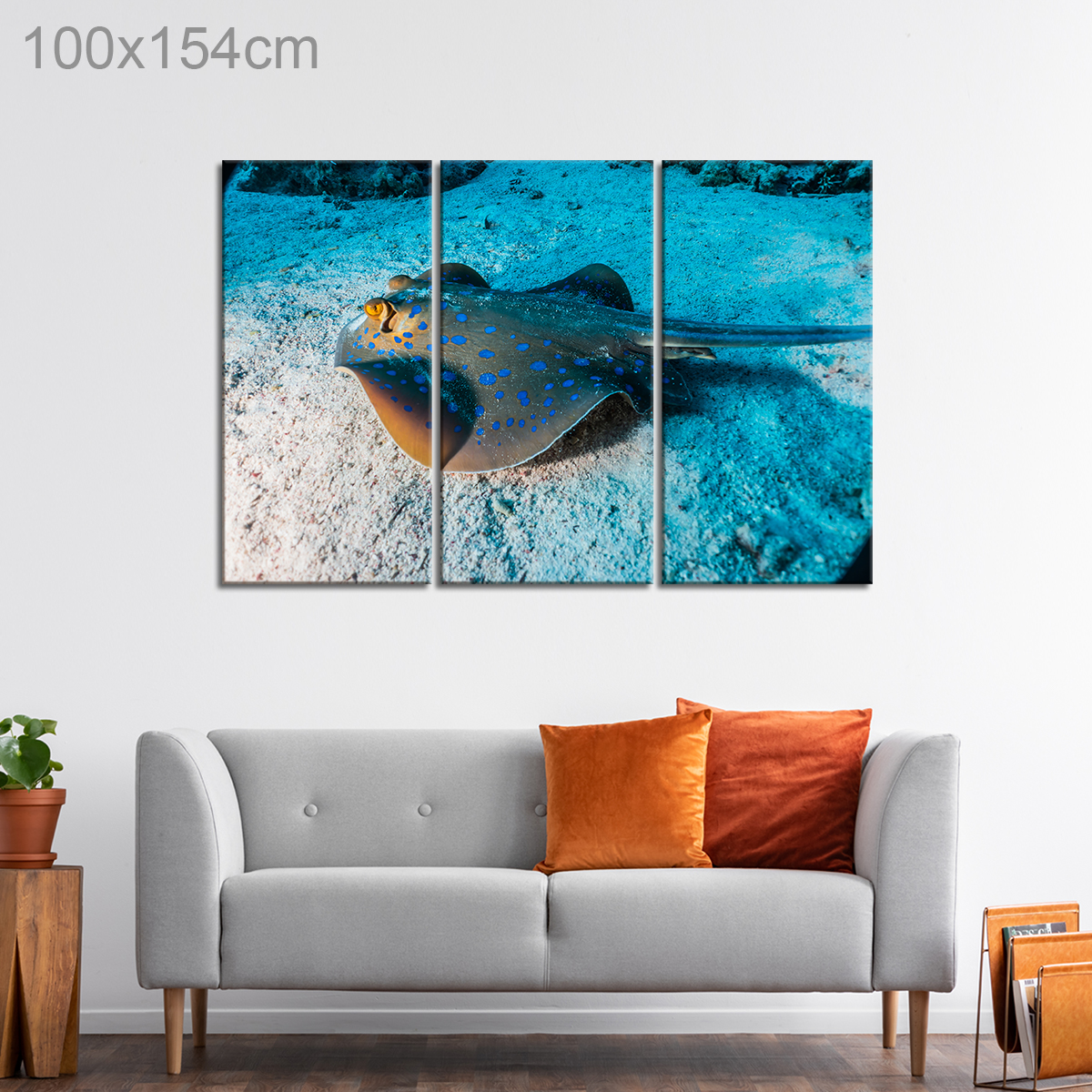 Blue Spotted Stingray