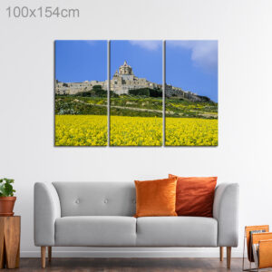 Flower Field beside Mdina, Malta