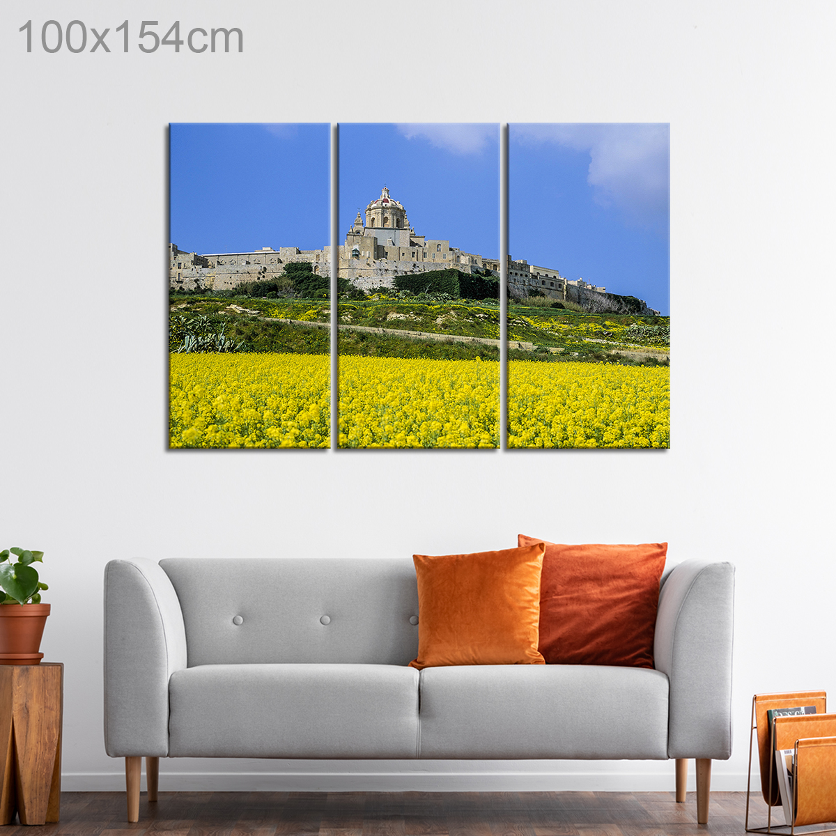 Flower Field beside Mdina, Malta