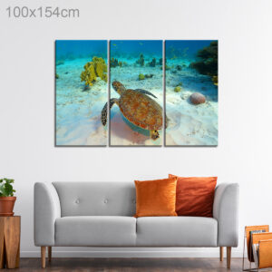 Sea Turtle Swimming in a Reef