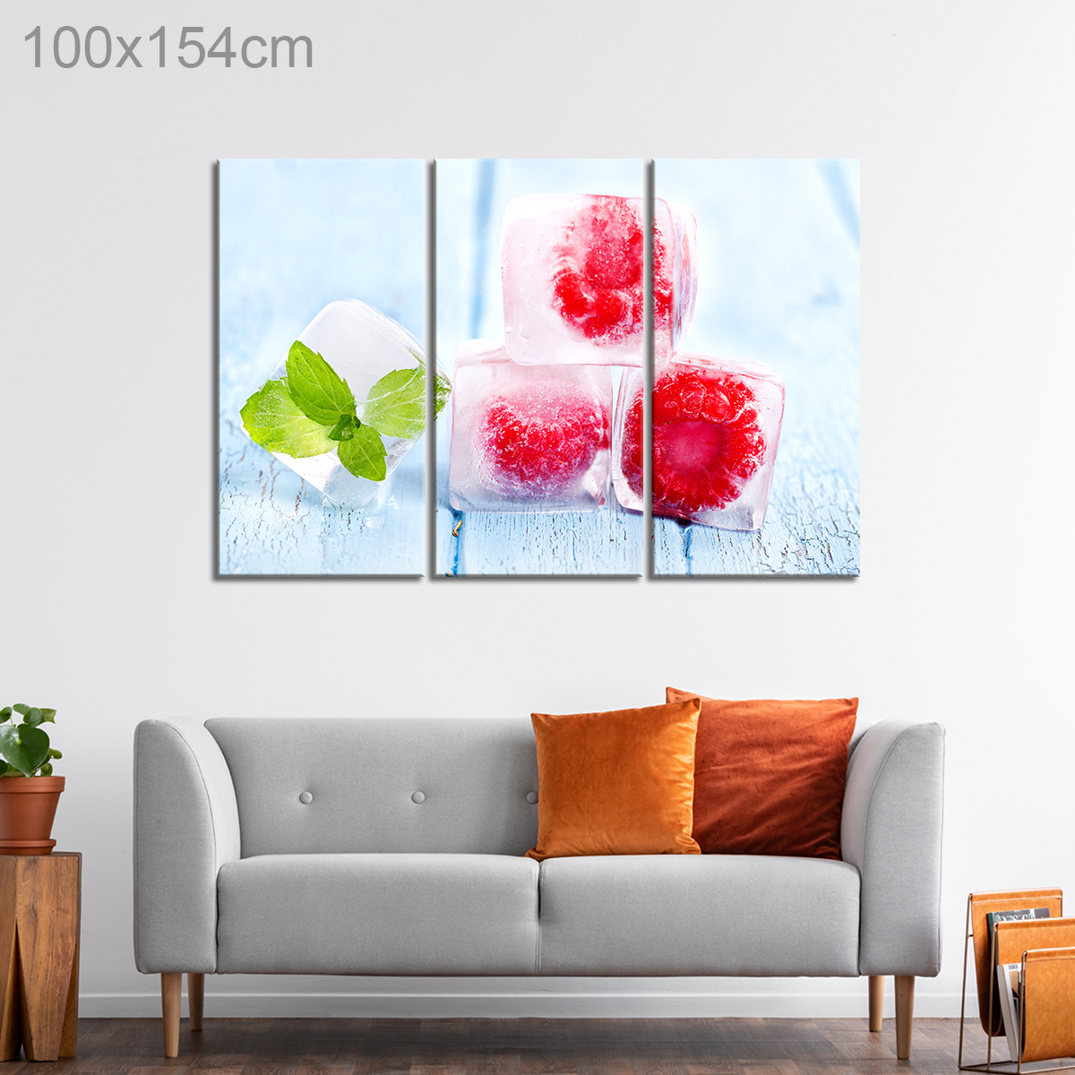 Raspberry and Mint Leaf Ice Cubes