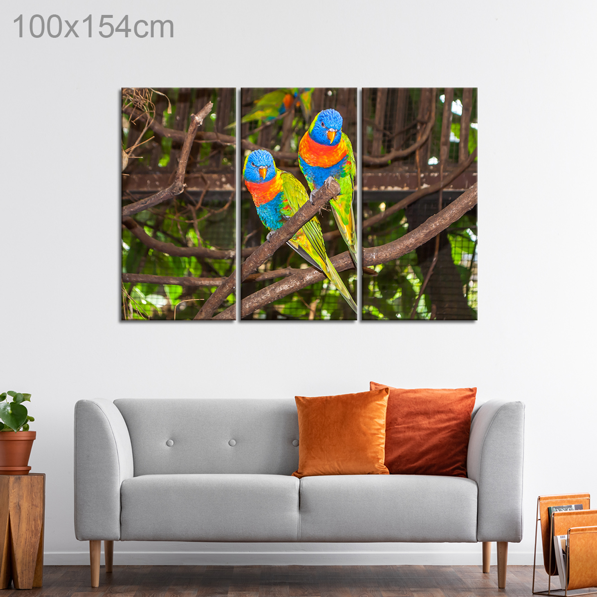 Multi Colored Lori Parrots