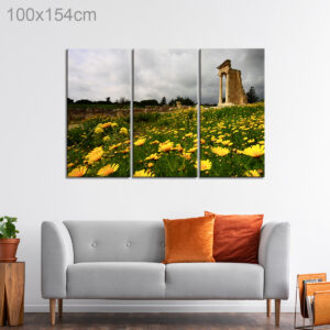 Ruins in Yellow Flower Field