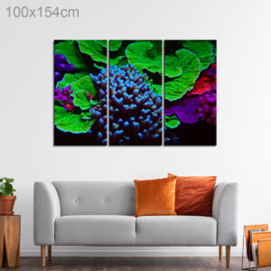 Short Polyp Stone Coral