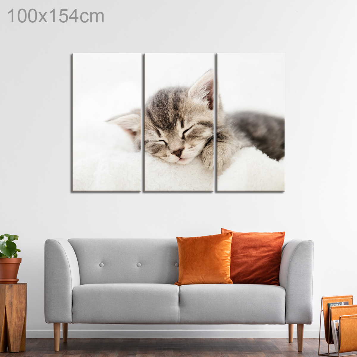 Adorable Sleepy Kitten