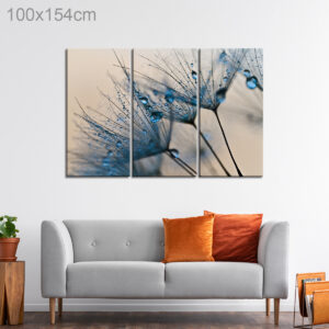 Dewdrops on Dandelion Seeds